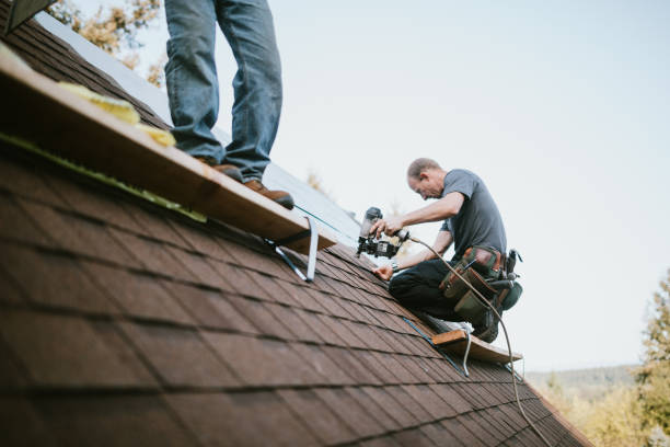Best Metal Roofing Contractor  in La Harpe, IL
